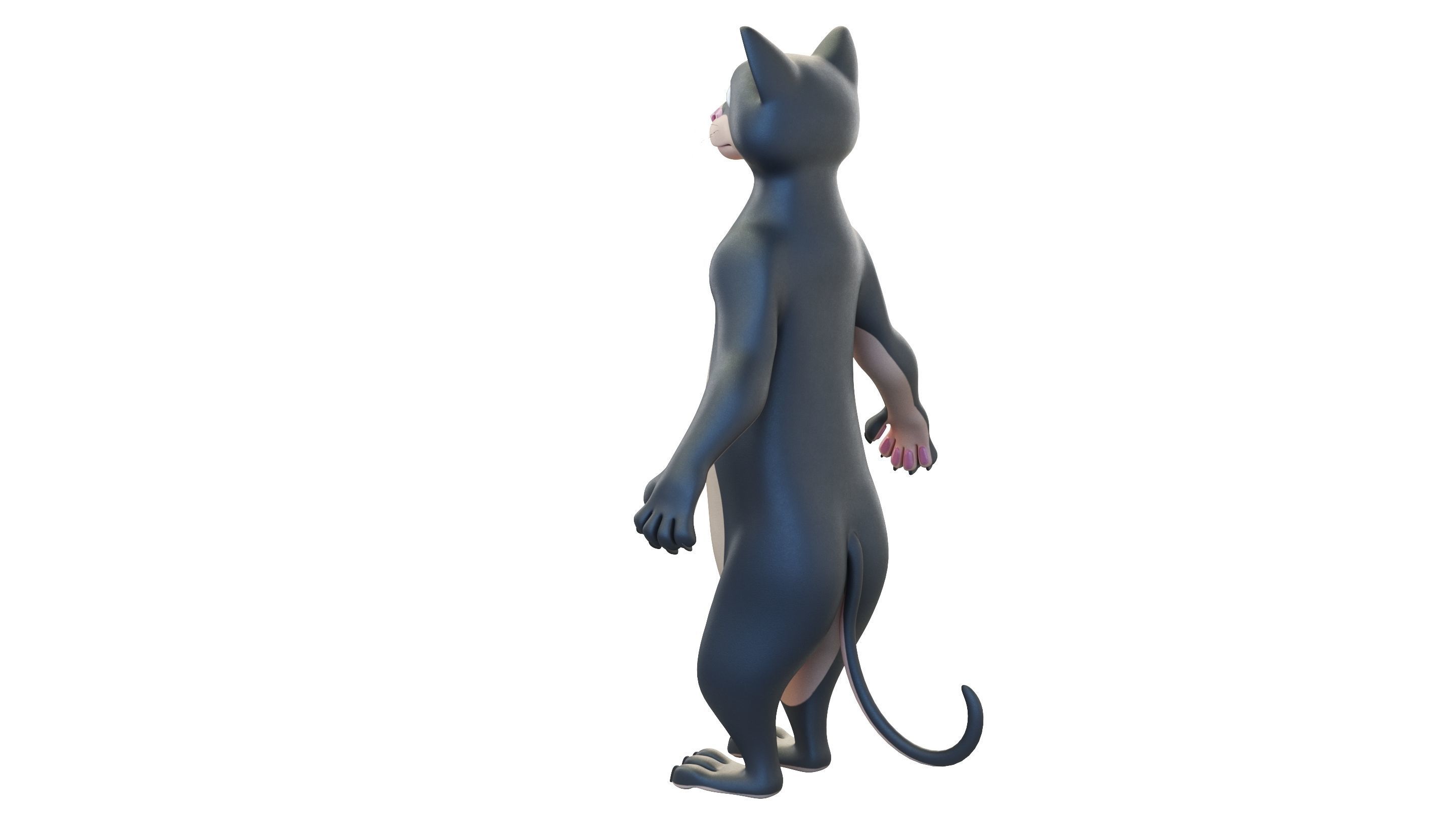 Cartoon Cat Character 3D model_9