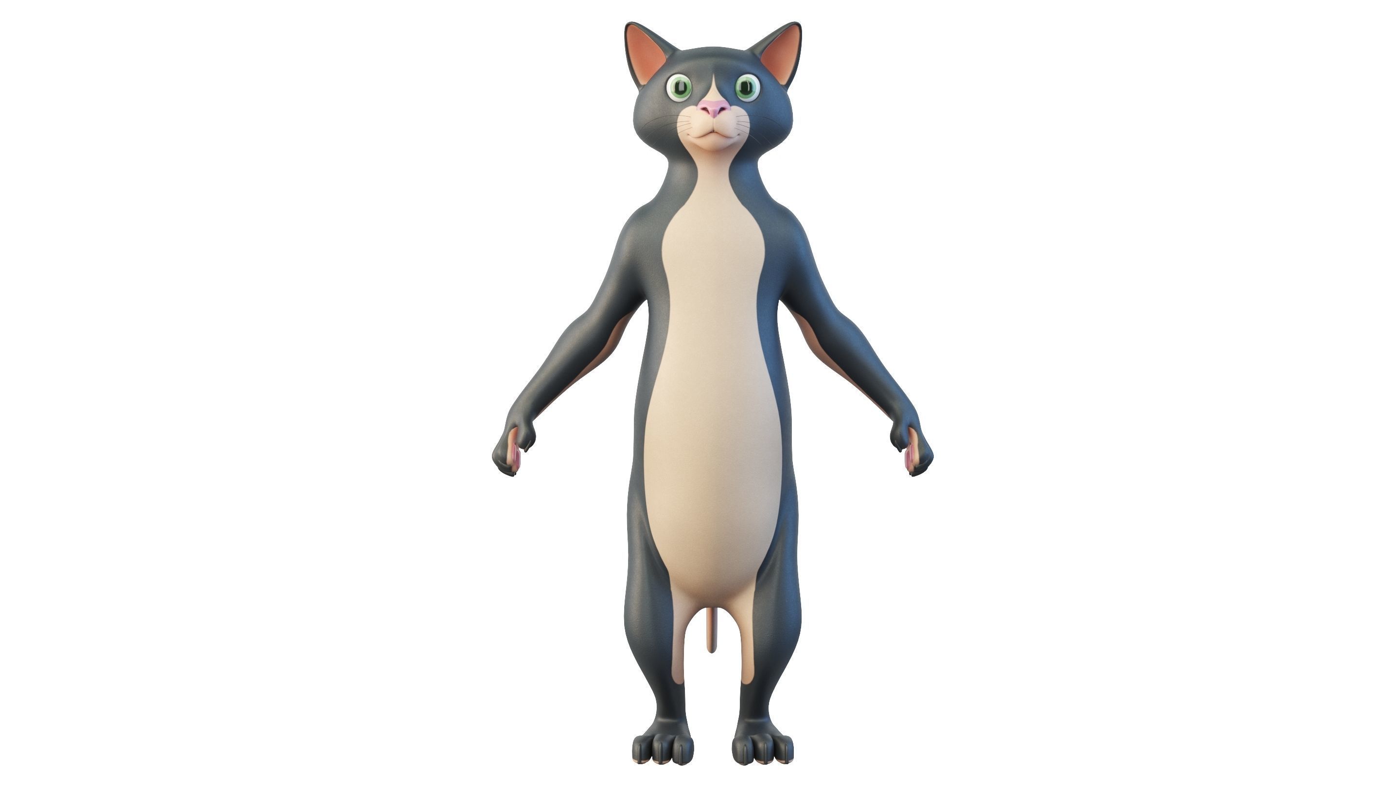 Cartoon Cat Character 3D model_1