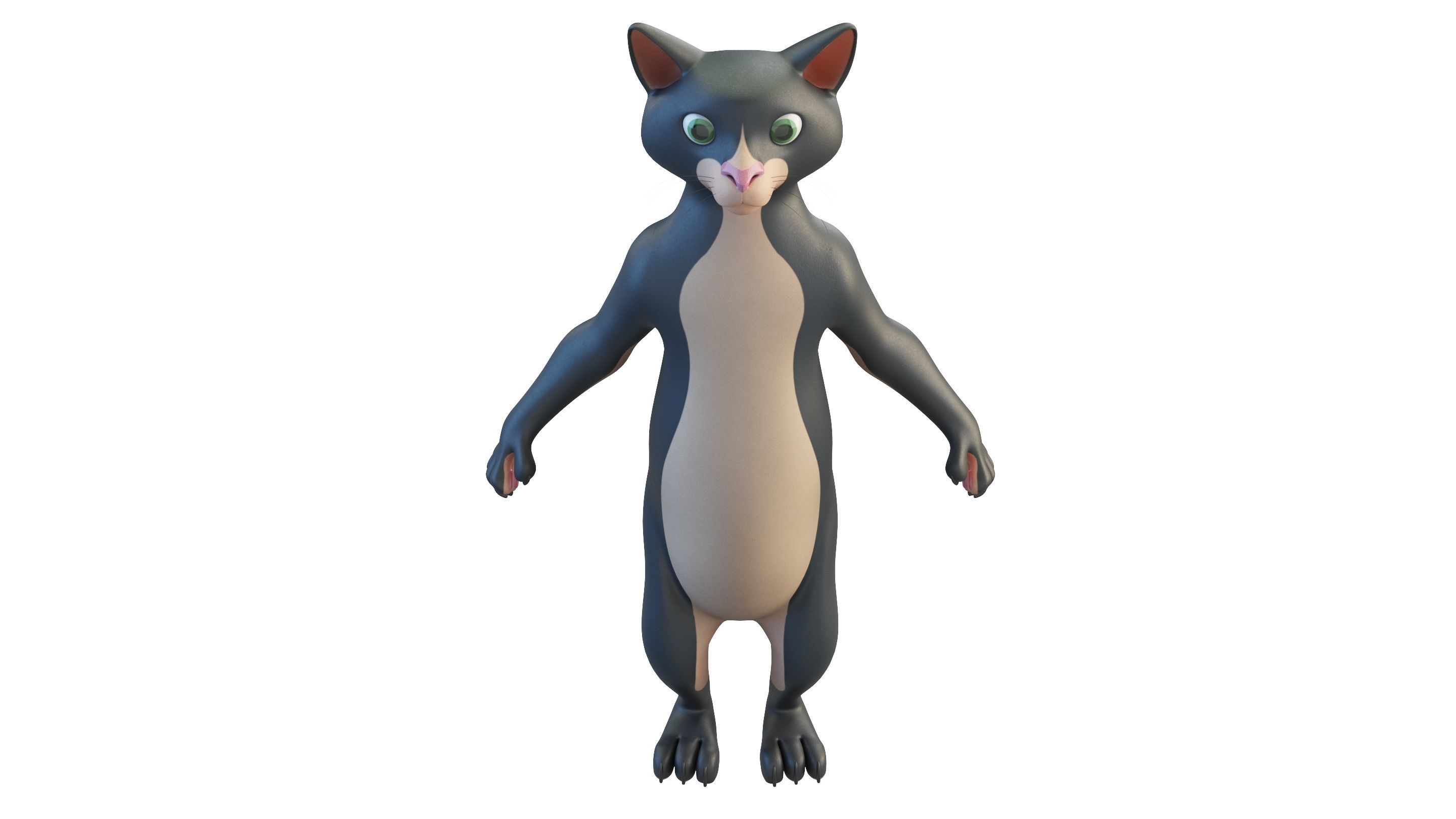 Cartoon Cat Character 3D model_7