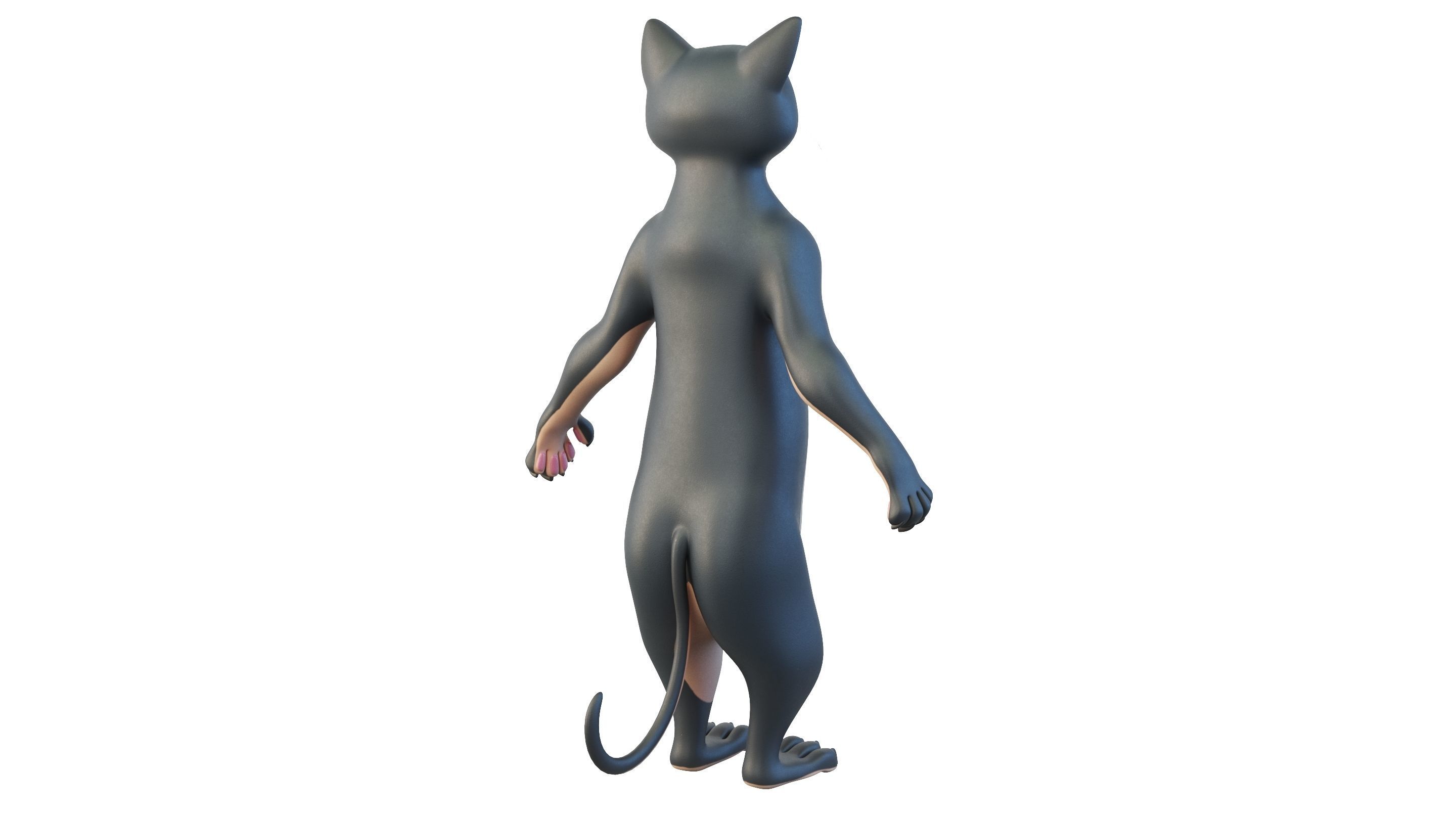 Cartoon Cat Character 3D model_5
