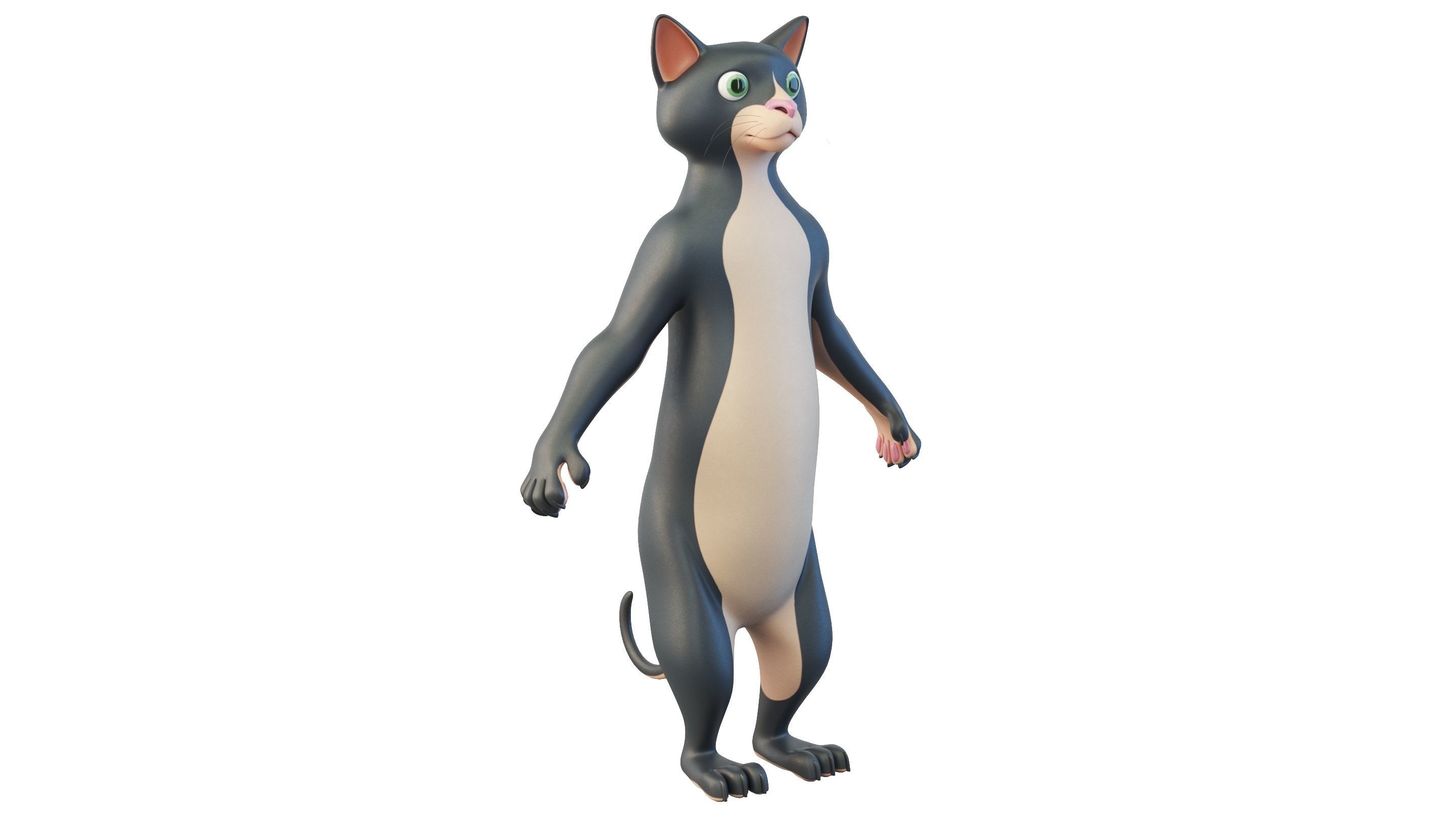 Cartoon Cat Character 3D model_2