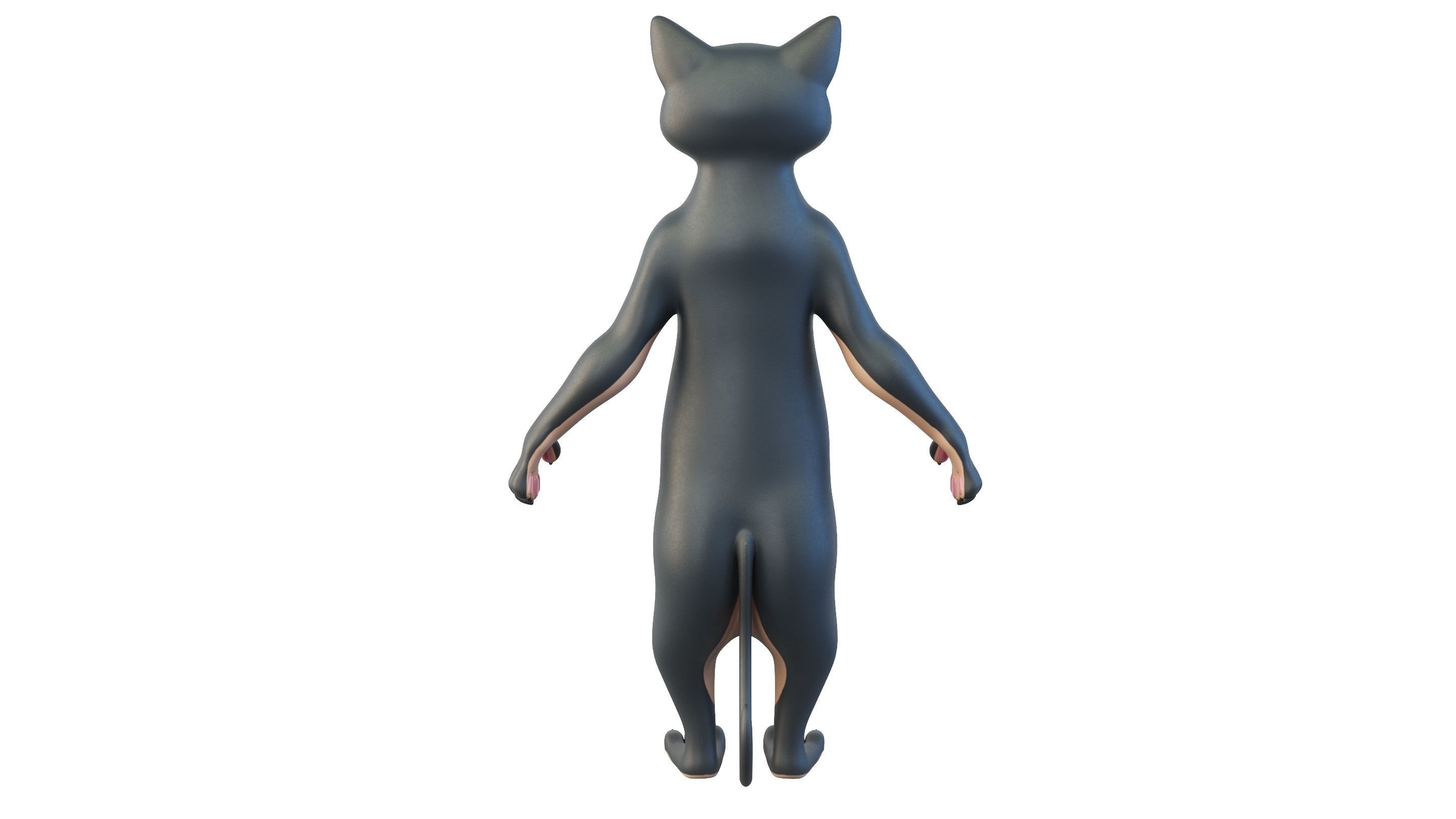 Cartoon Cat Character 3D model_3