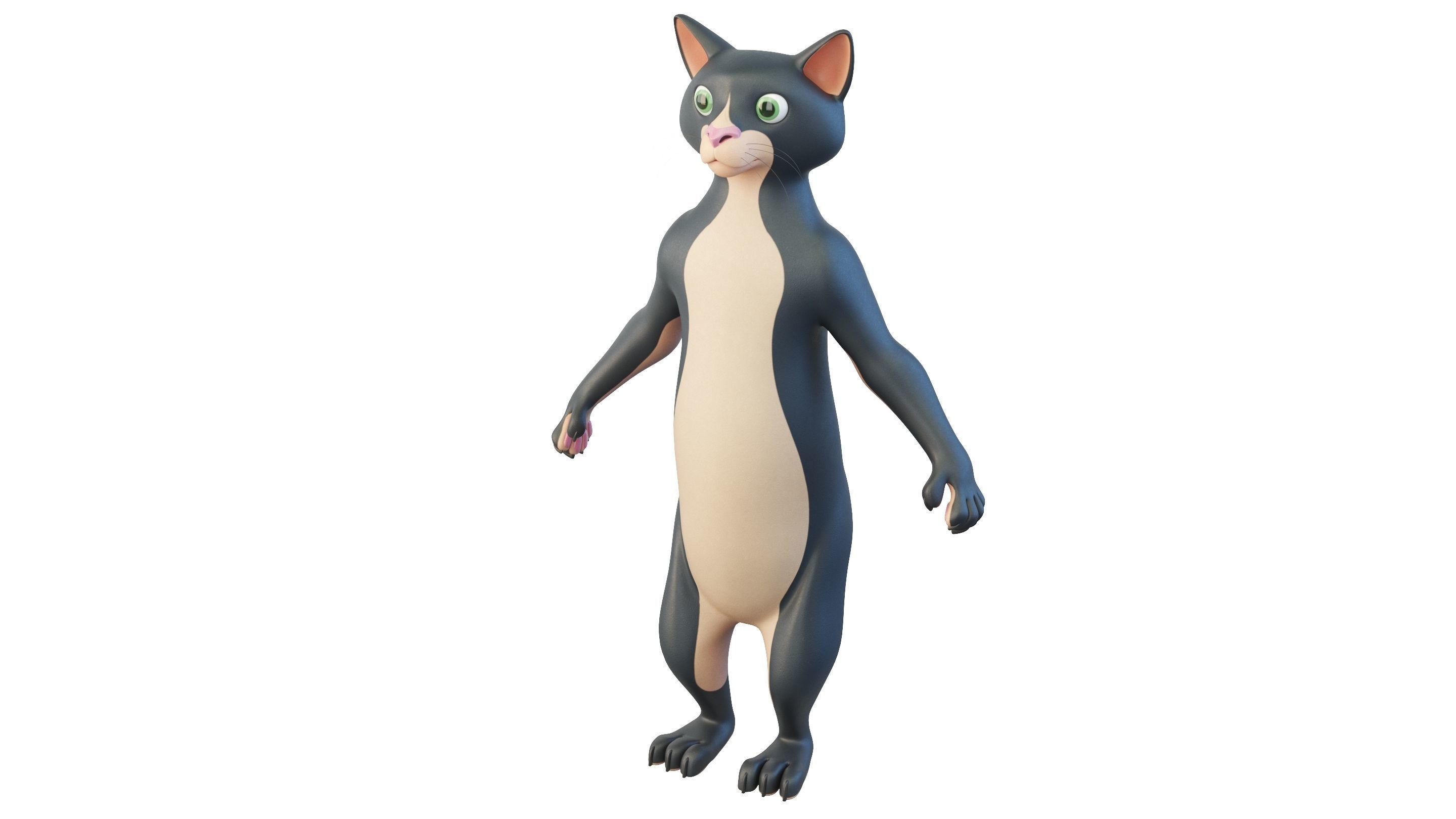 Cartoon Cat Character 3D model_10