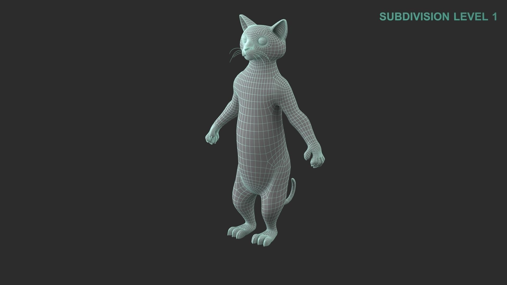 Cartoon Cat Character 3D model_16