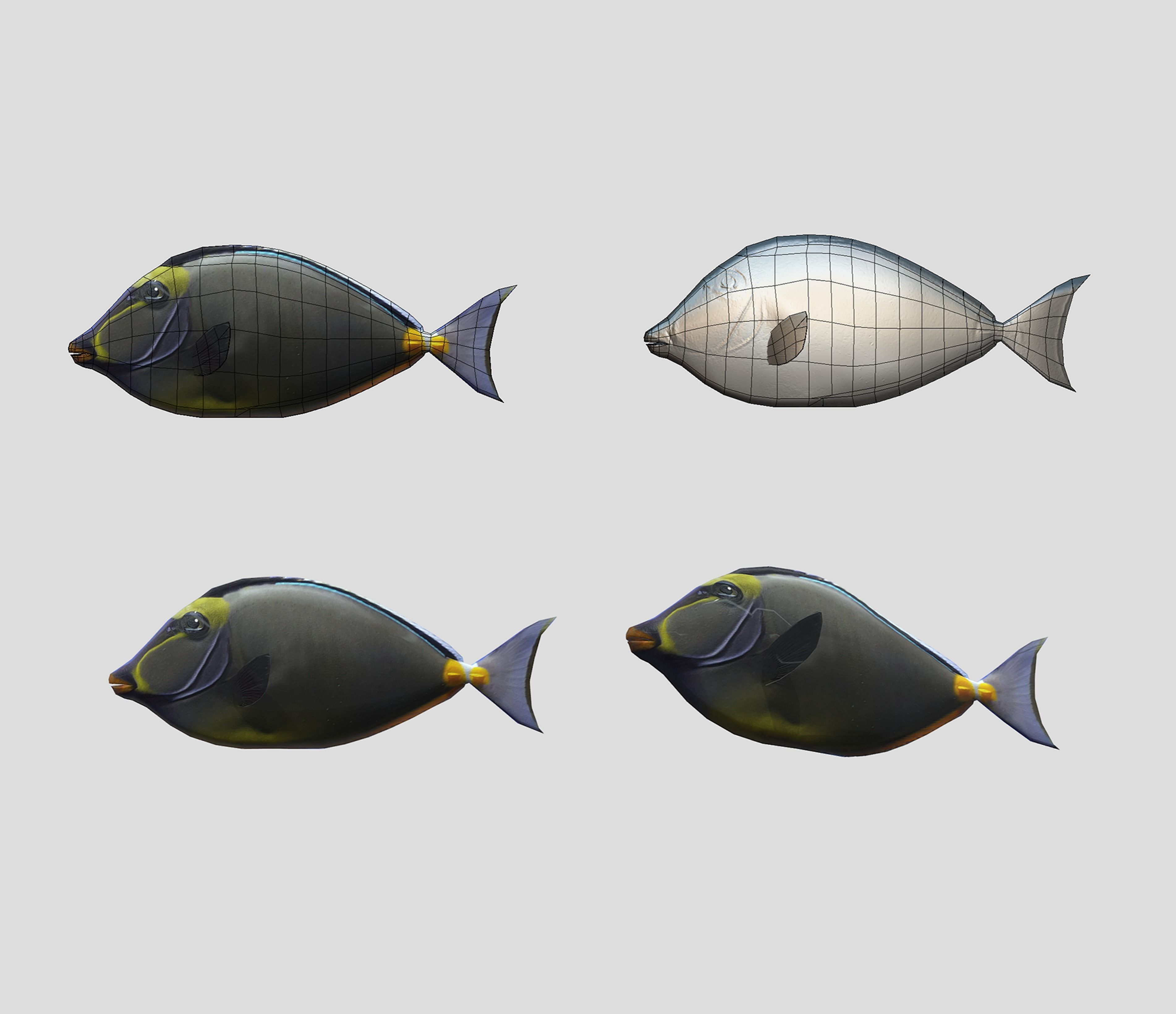 Fish Collection Animated - Game Ready Pack 5 _19