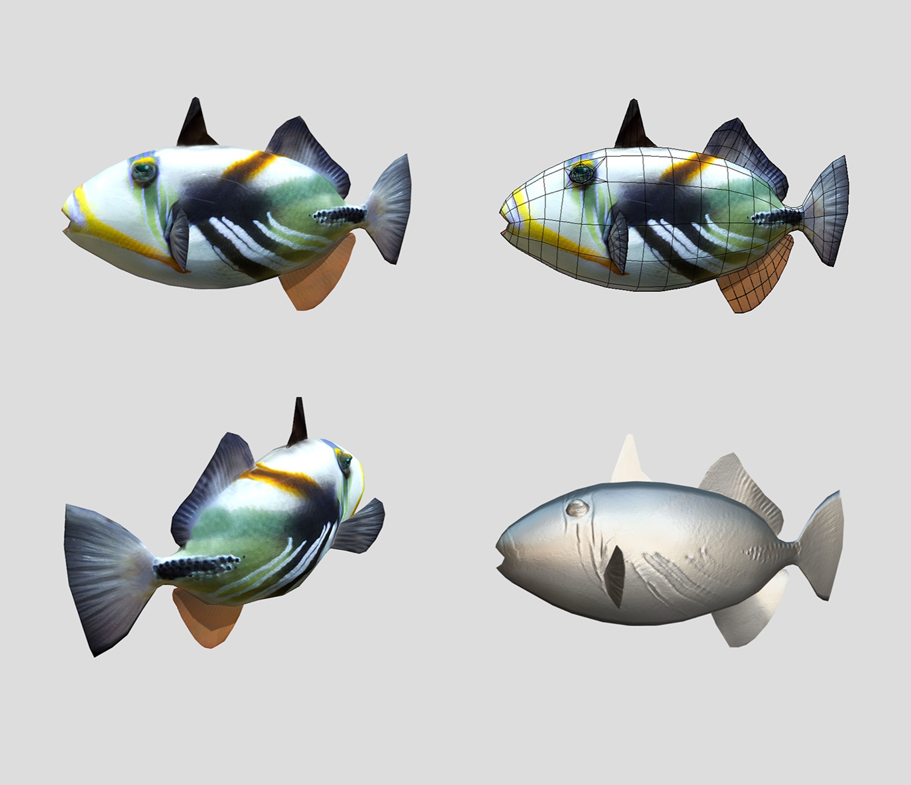 Fish Collection Animated - Game Ready Pack 5 _25