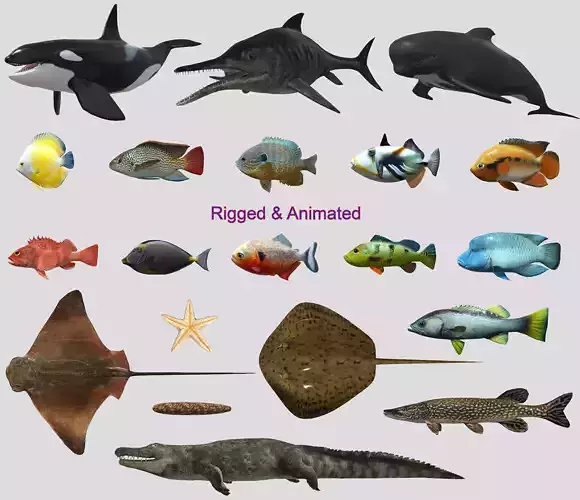 Fish Collection Animated - Game Ready Pack 5  