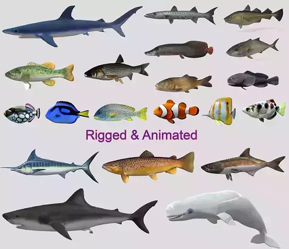 Fish Collection Animated - Game Ready Pack 3 