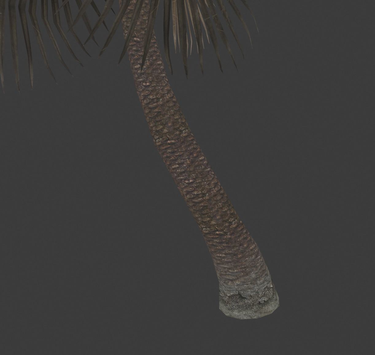 palm tree Low-poly 3D model_2