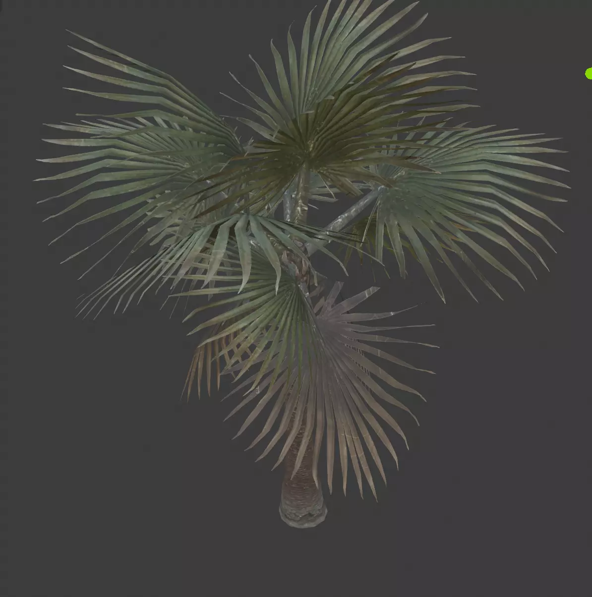 palm tree Low-poly 3D model_0