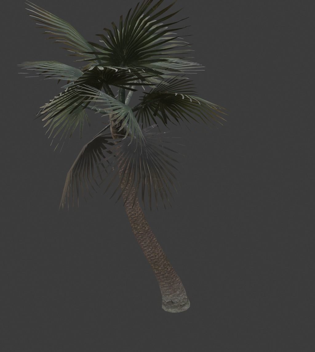 palm tree Low-poly 3D model_1
