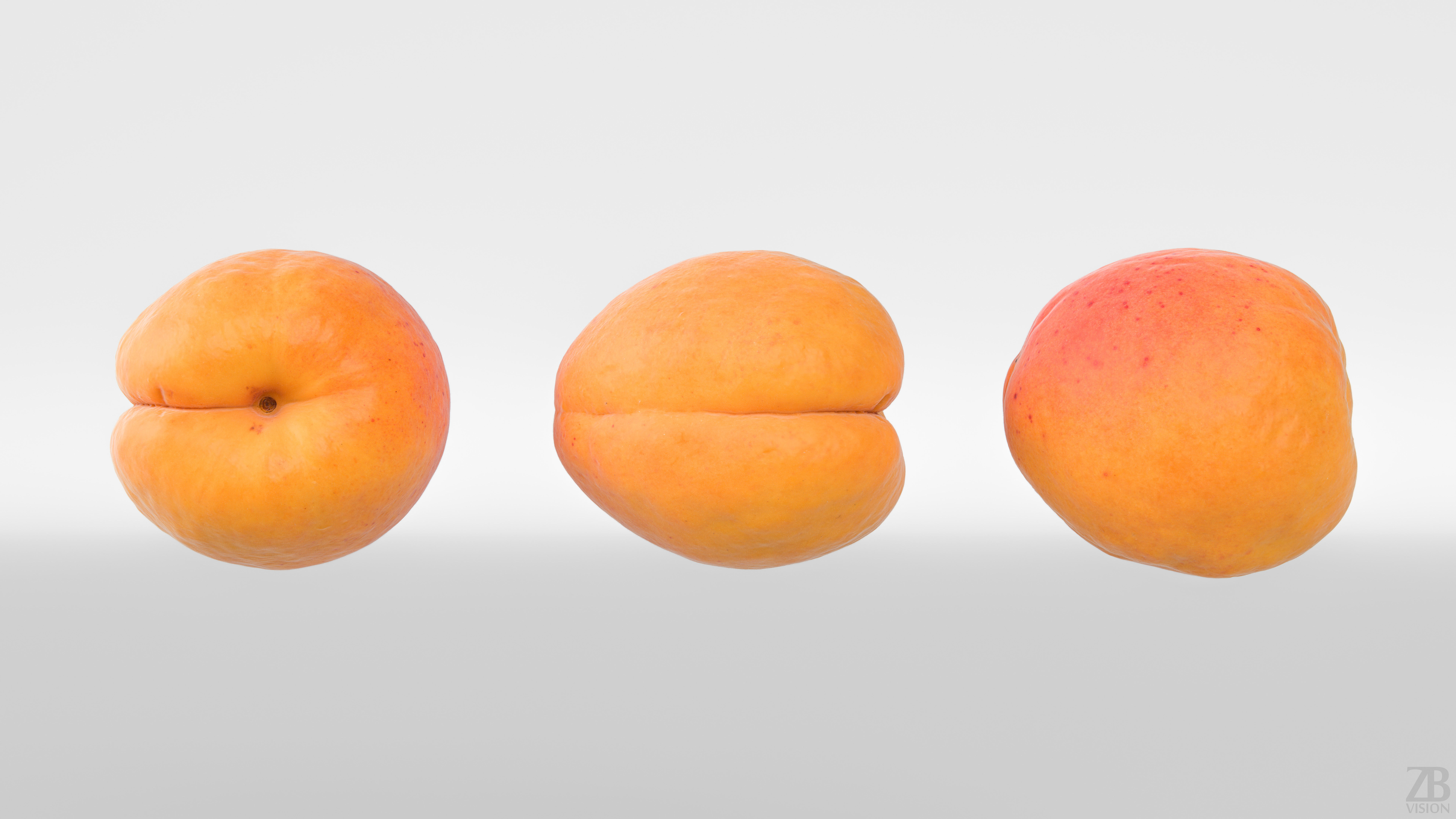 Apricot 3D model_4