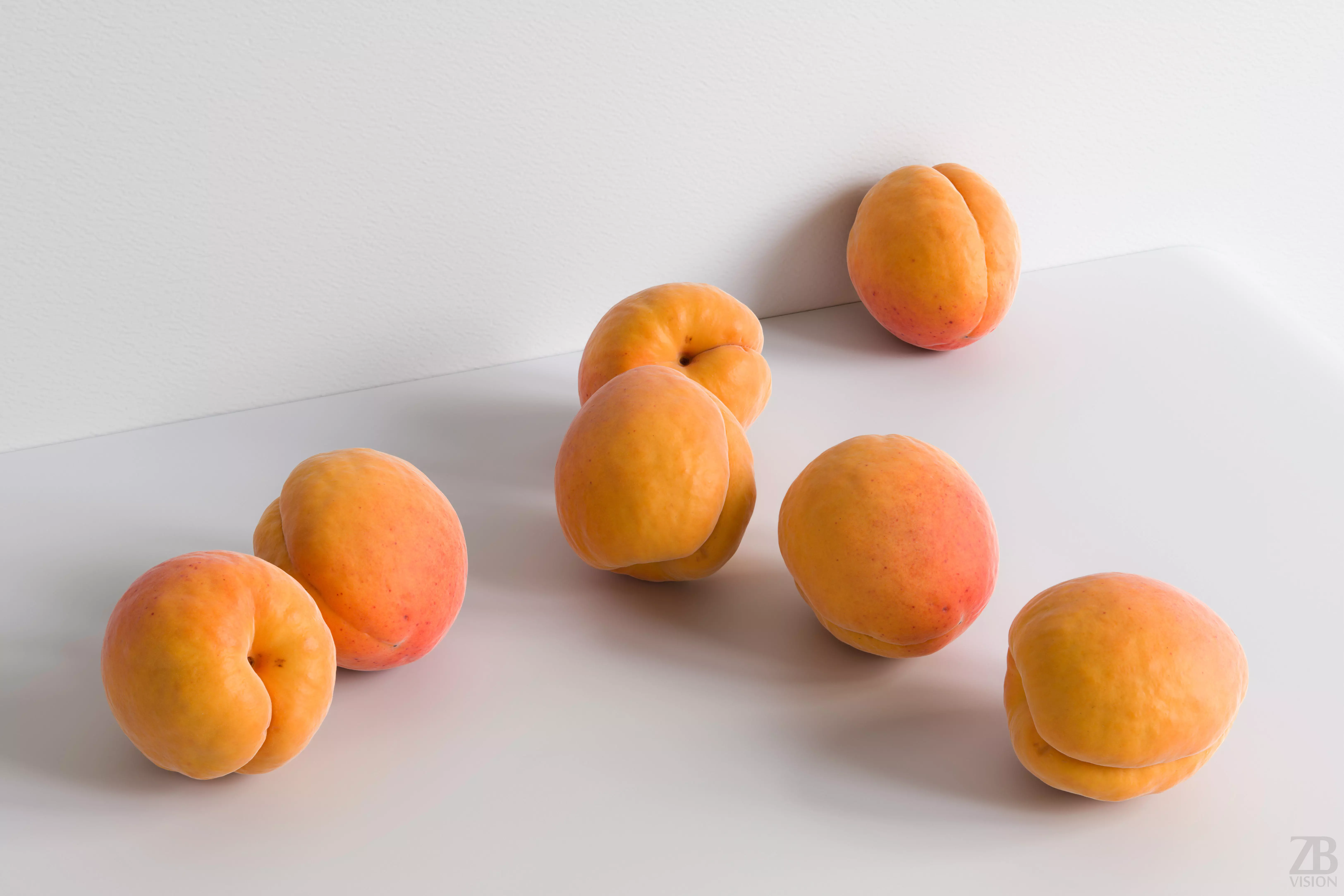 Apricot 3D model_0