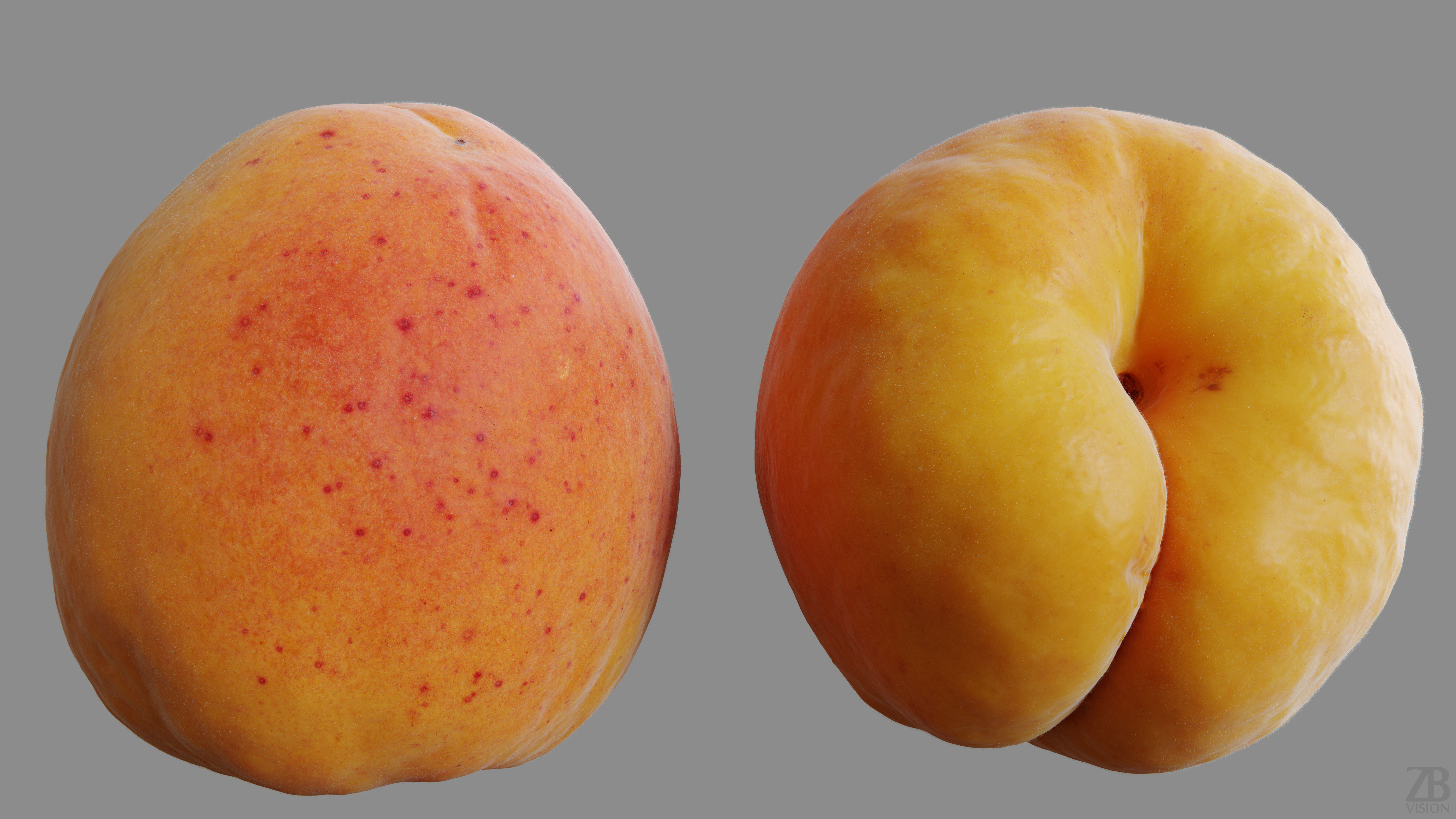 Apricot 3D model_9