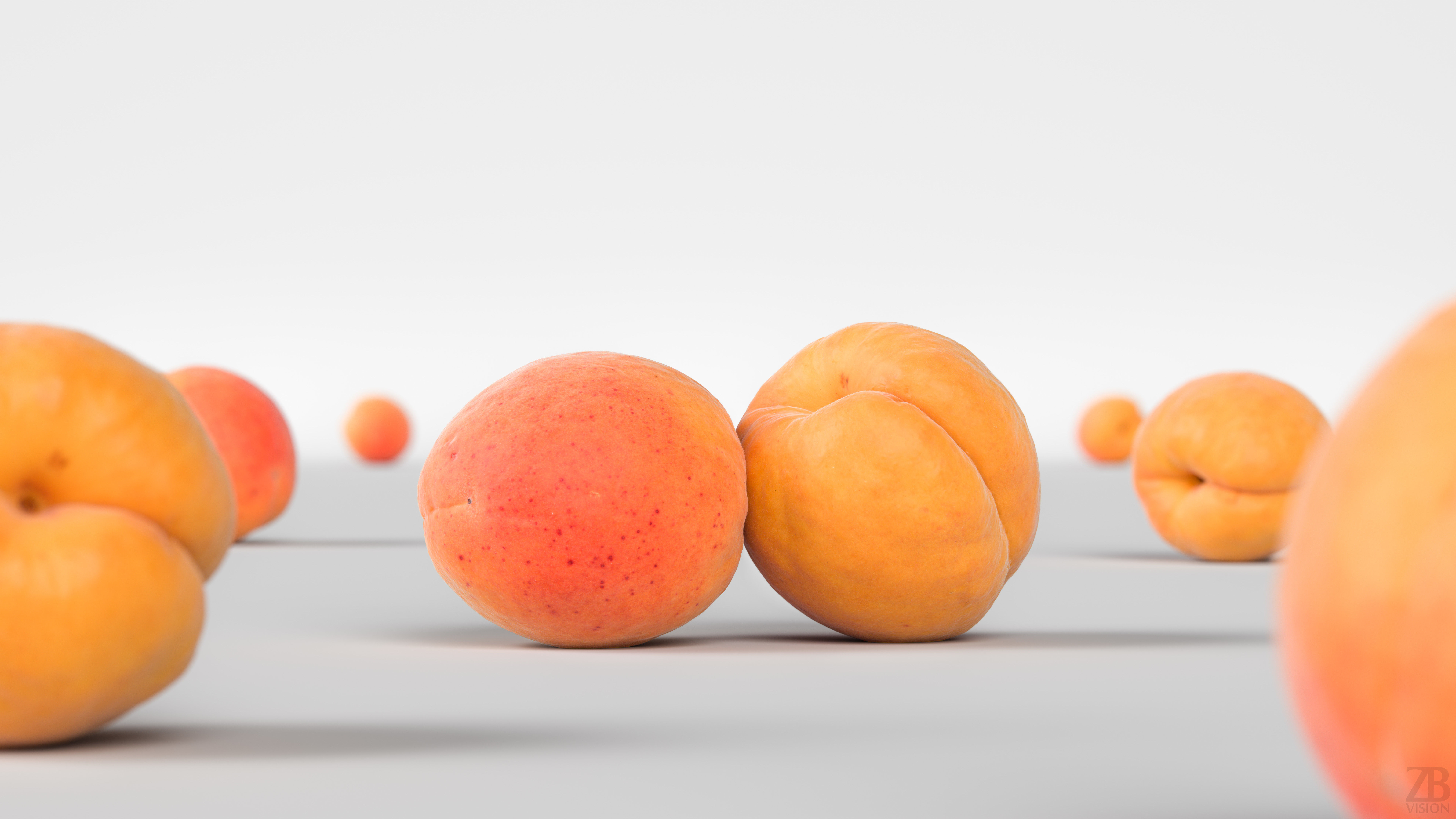 Apricot 3D model_1