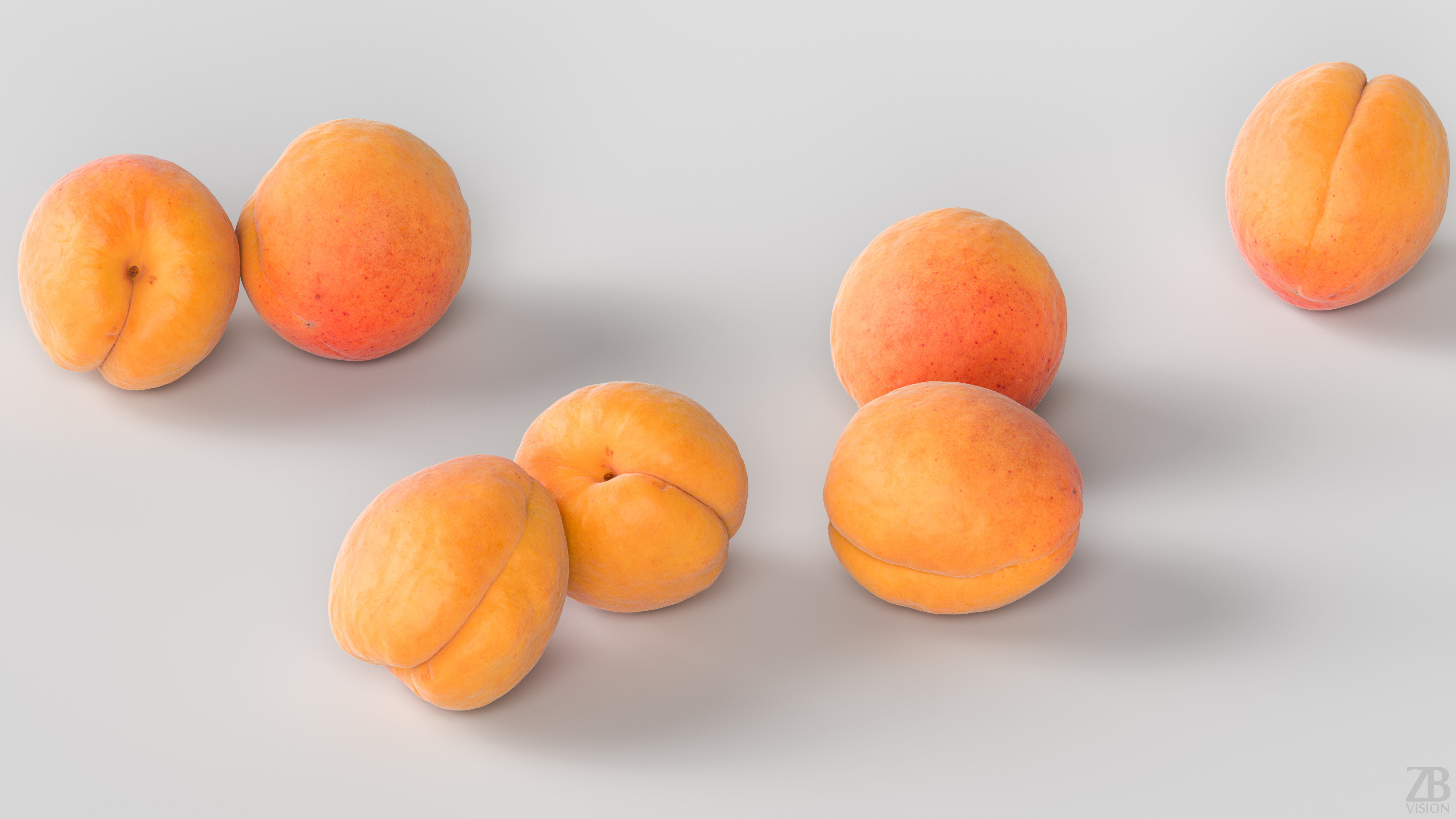 Apricot 3D model_2