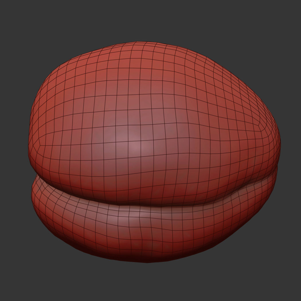 Apricot 3D model_6
