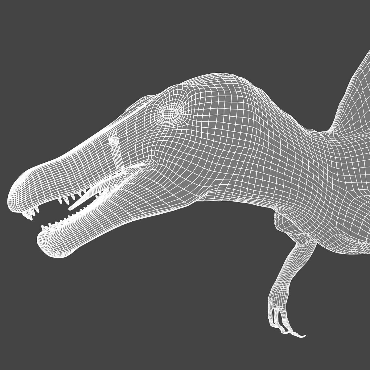 Spinosaurus - rigged 3D model_4