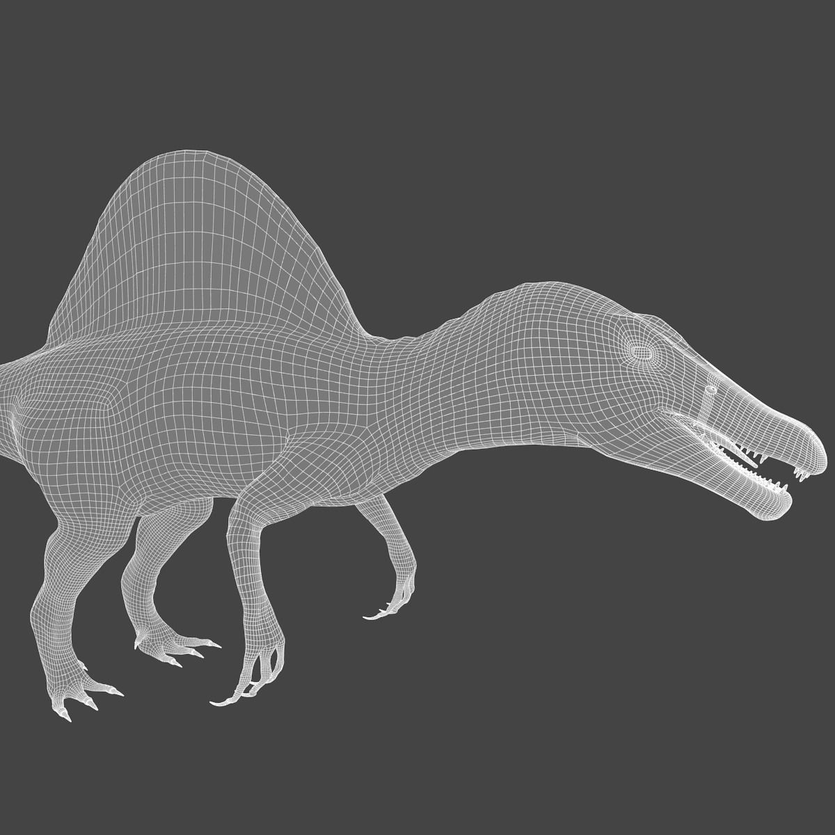 Spinosaurus - rigged 3D model_5