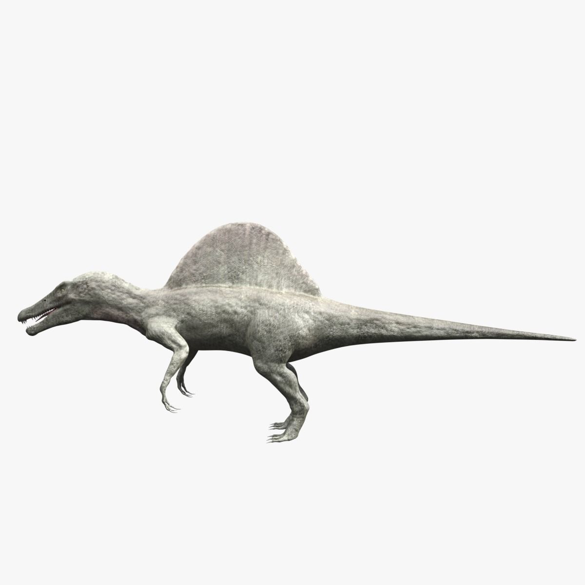 Spinosaurus - rigged 3D model_1