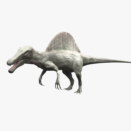 Spinosaurus - rigged 3D model