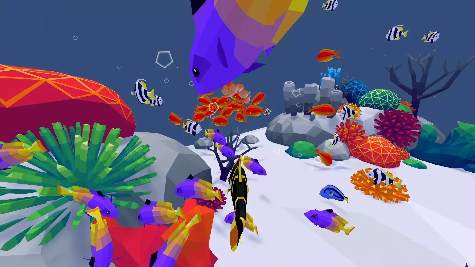 Fish Alive - Animated Polyart Fish with Unity Scripts Low-poly 3D model_5