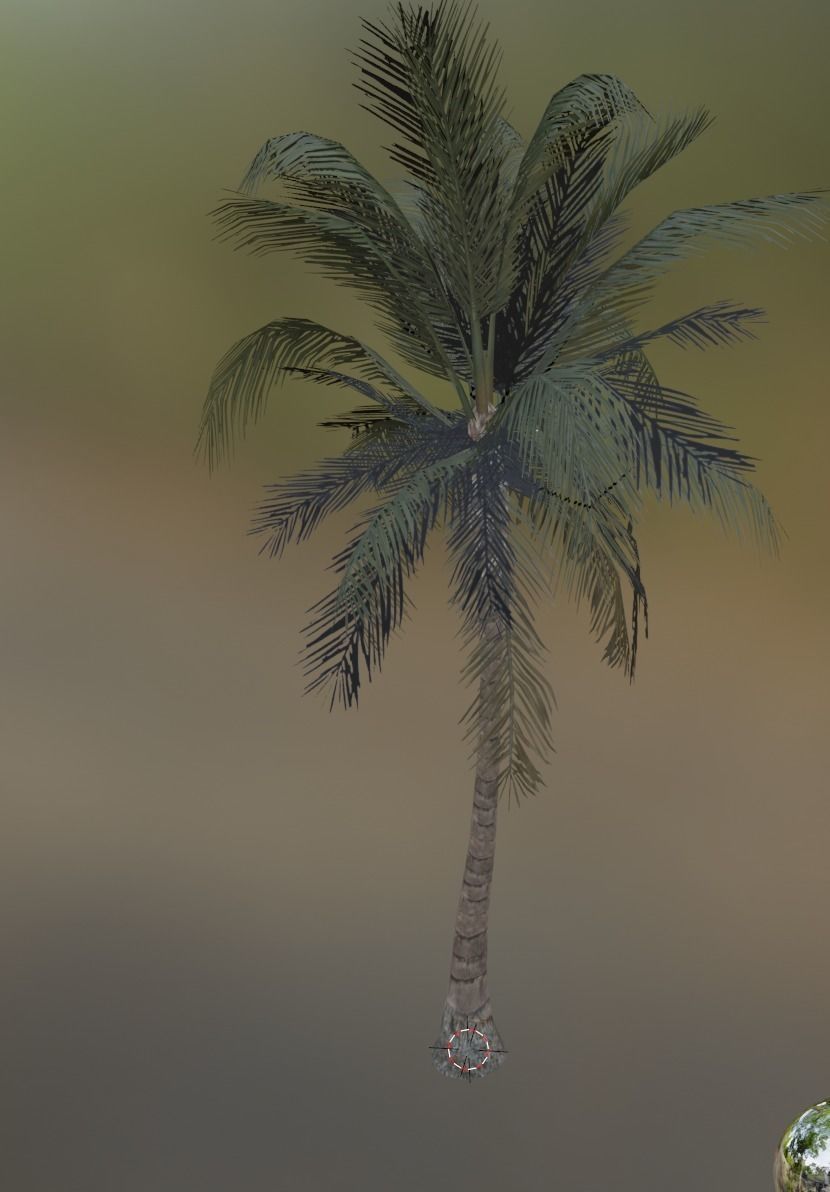 coconut tree palm 2 Low-poly 3D model_2