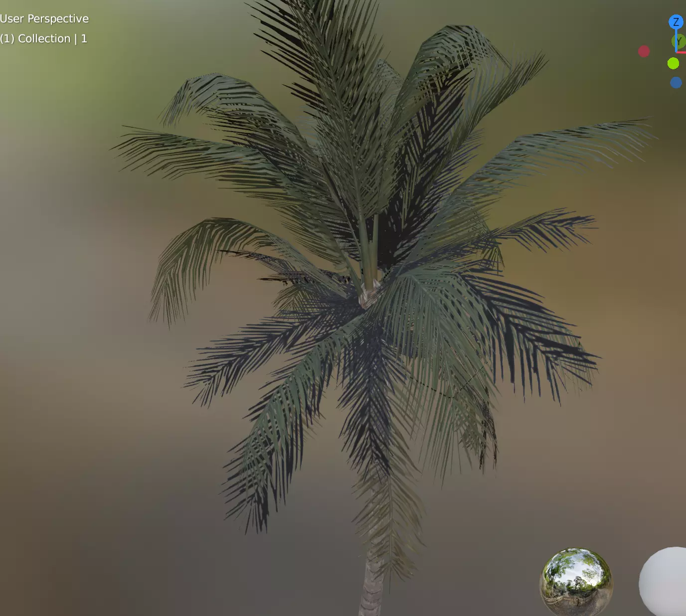 coconut tree palm 2 Low-poly 3D model_0
