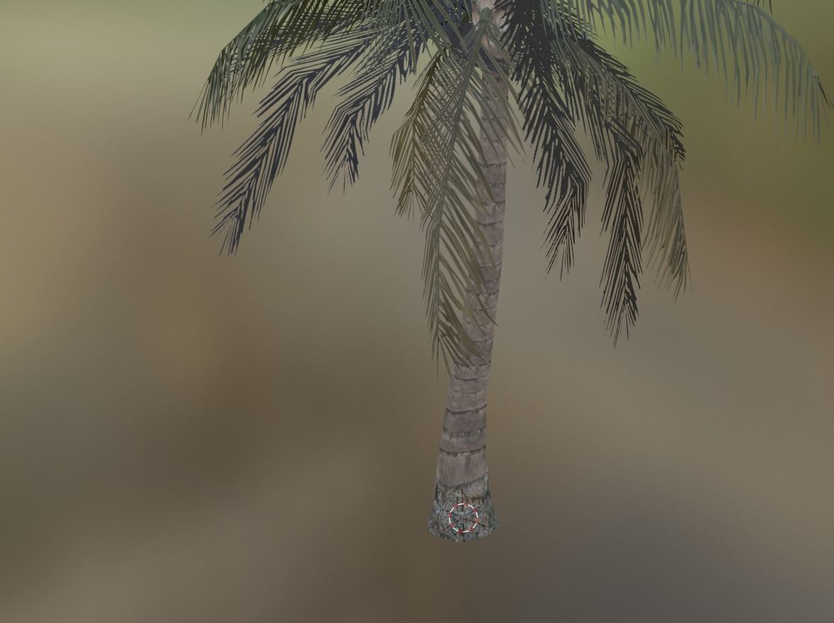 palm coconut tree 1 Low-poly 3D model_2