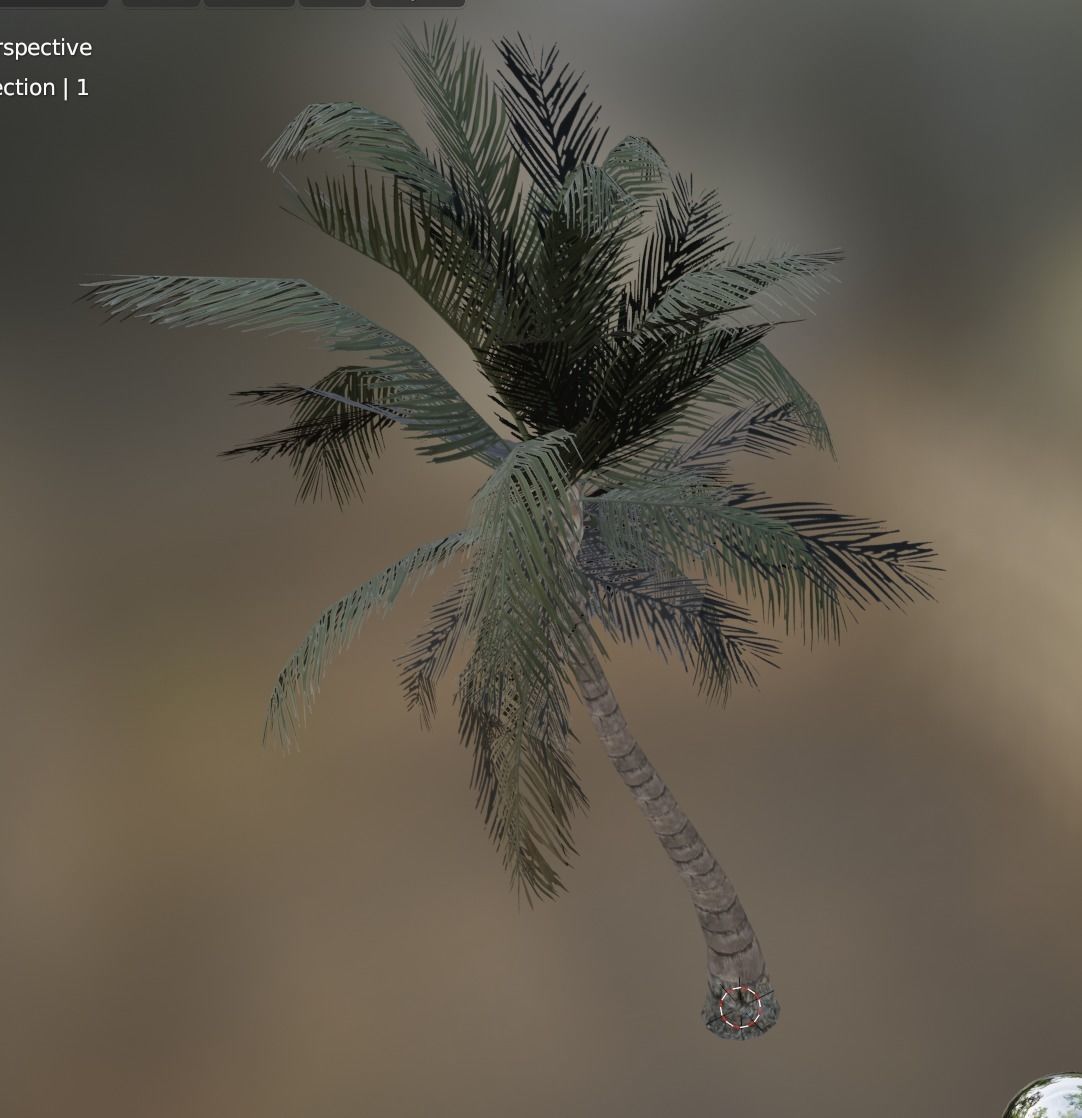 palm coconut tree 1 Low-poly 3D model_3