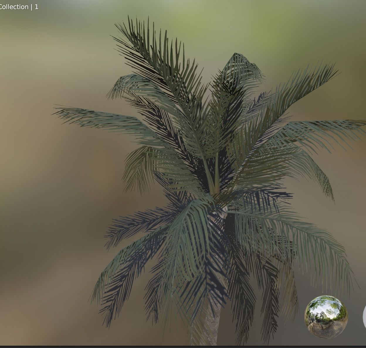 palm coconut tree 1 Low-poly 3D model_1