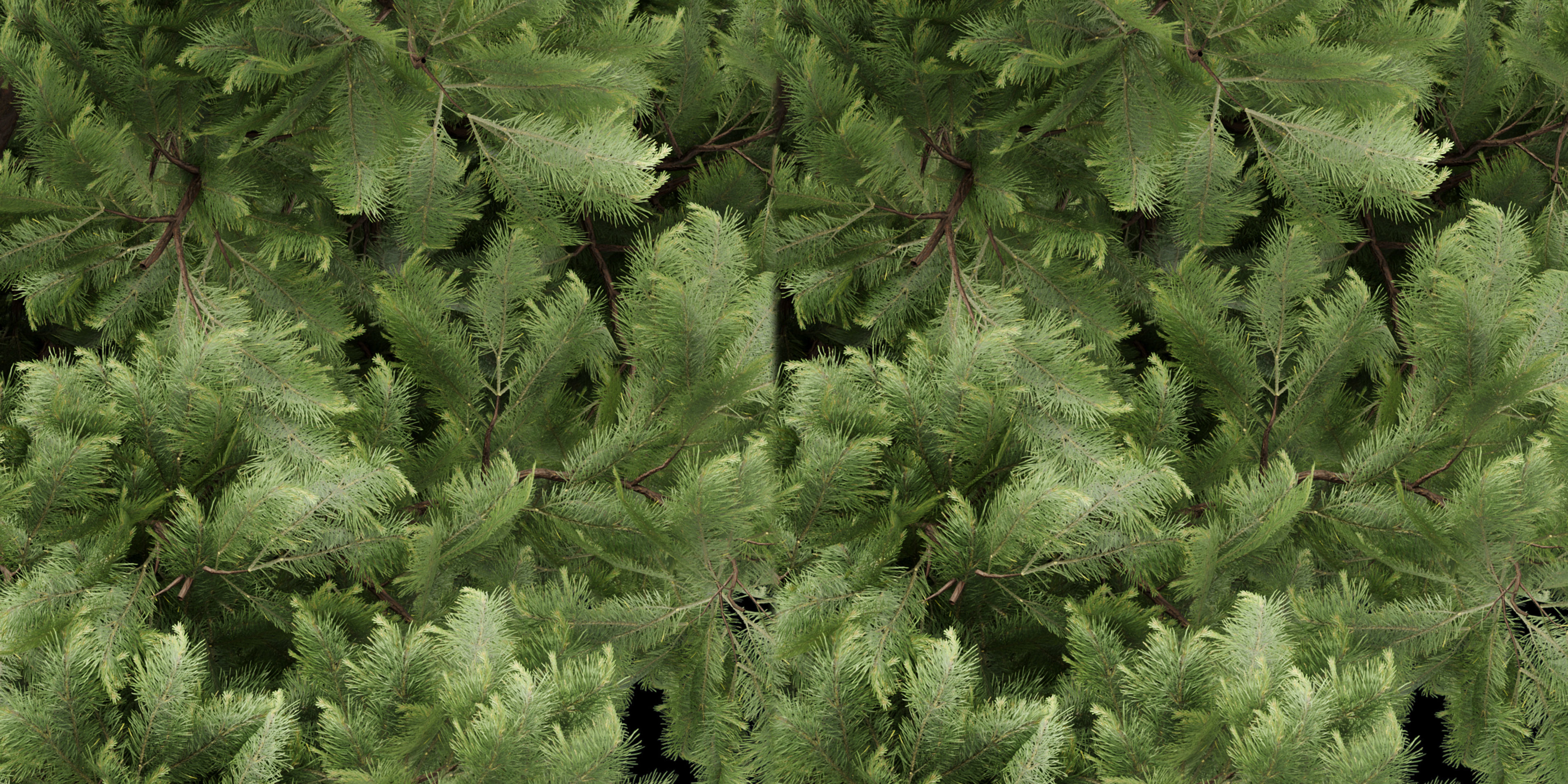 pine trees vol 18-Blender 3D model_5