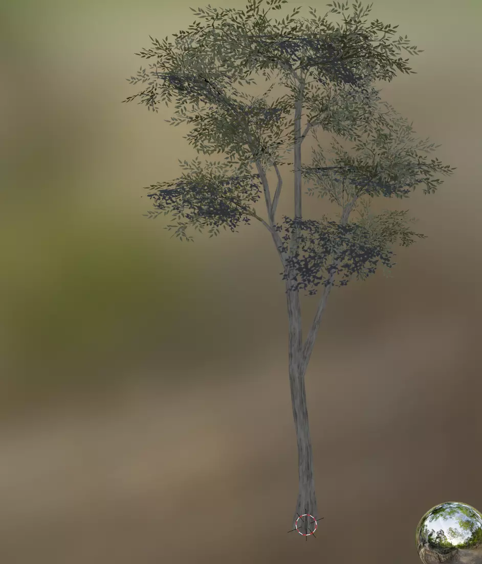 eucalyptus tree Low-poly 3D model_0