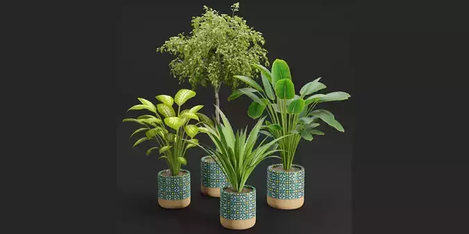 plants new collection vol 21-Blender 3D model