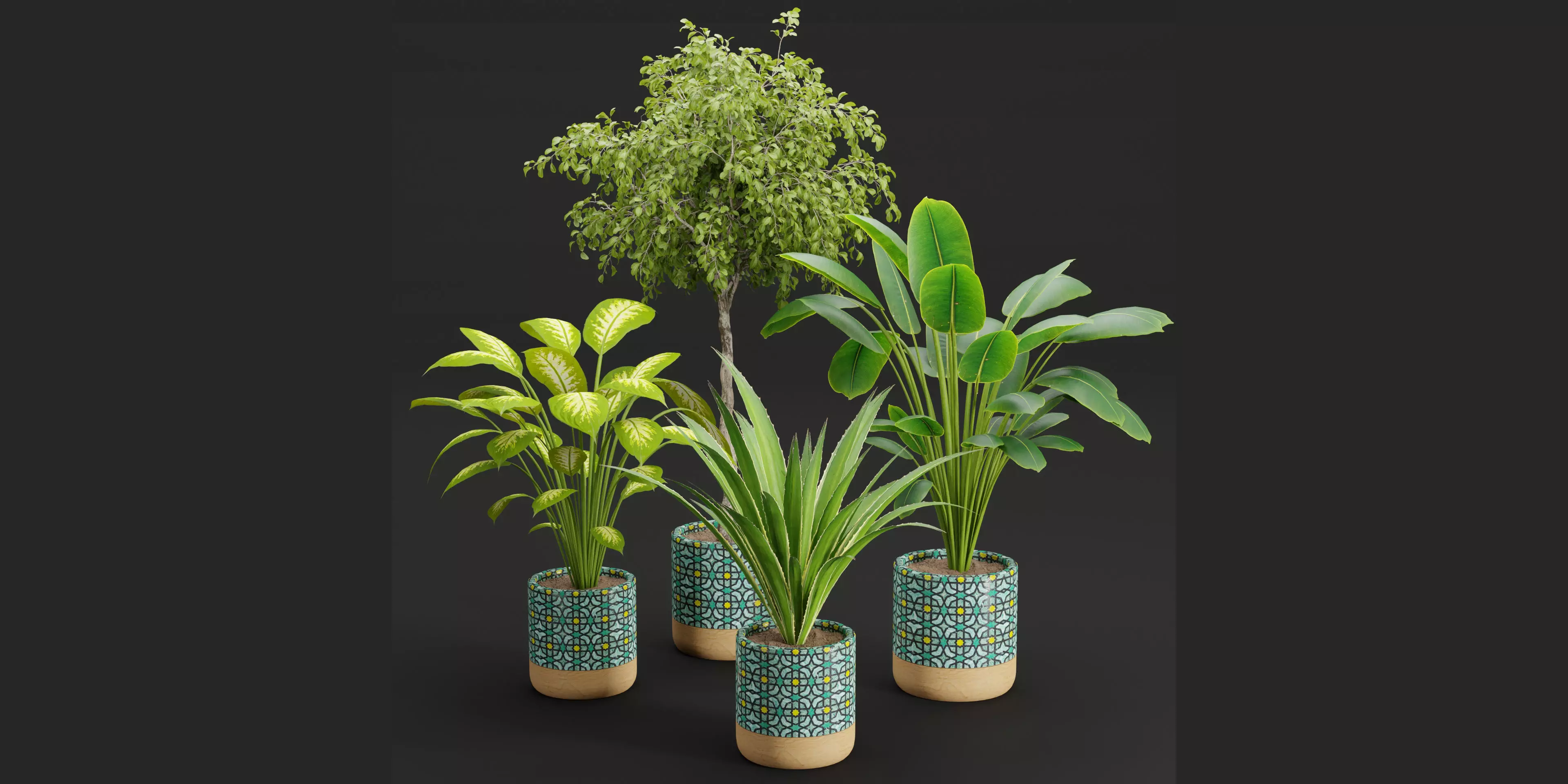 plants new collection vol 21-Blender 3D model