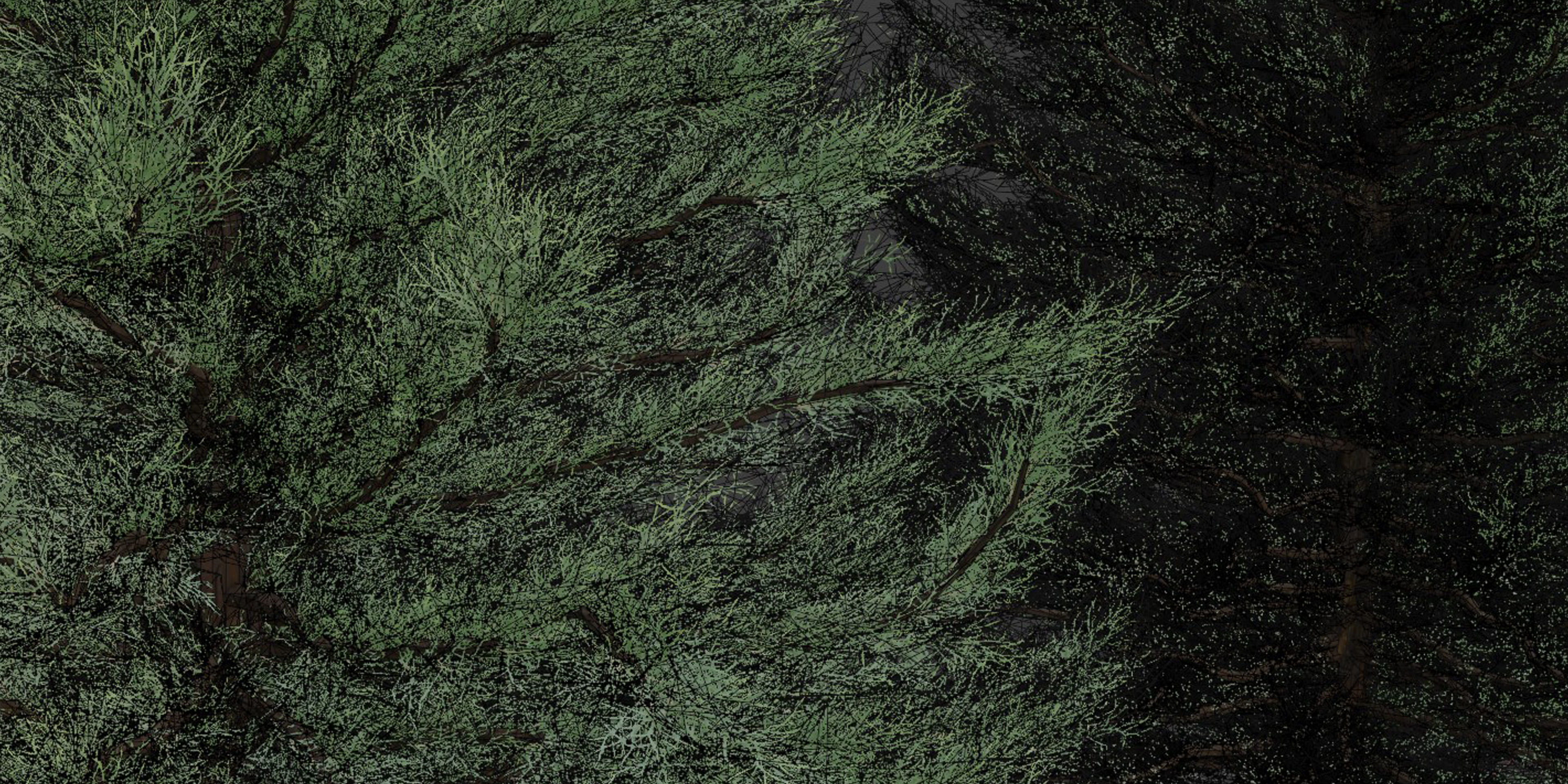 pine trees collection vol 22-Blender 3D model_8