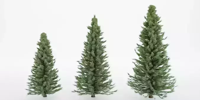 pine trees collection vol 22-Blender 3D model