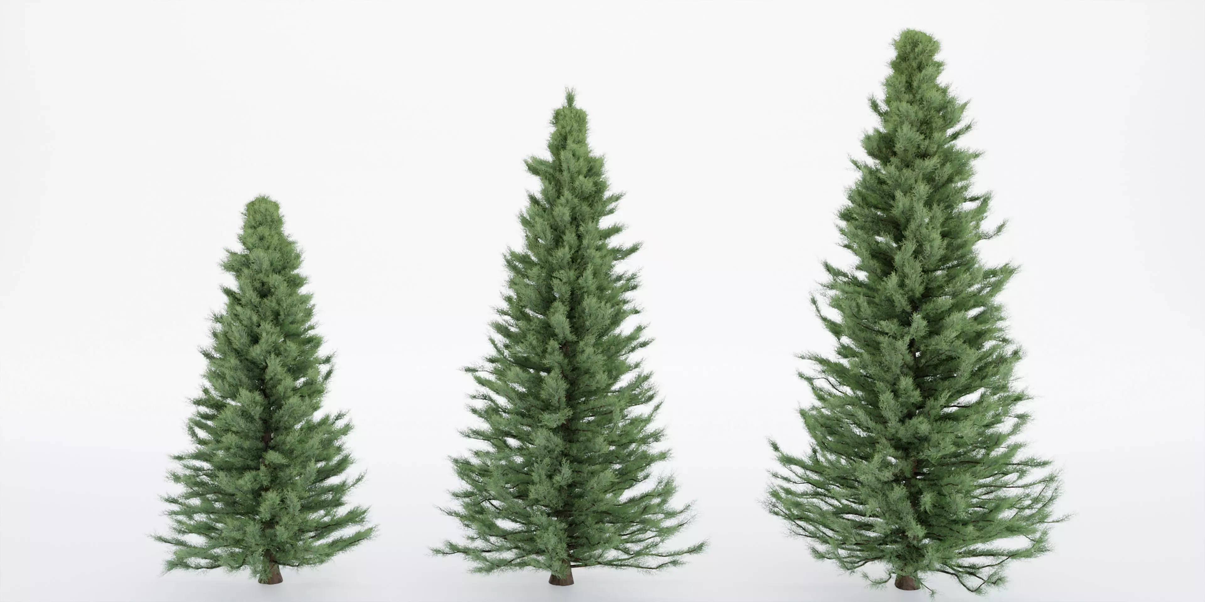 pine trees collection vol 22-Blender 3D model_0