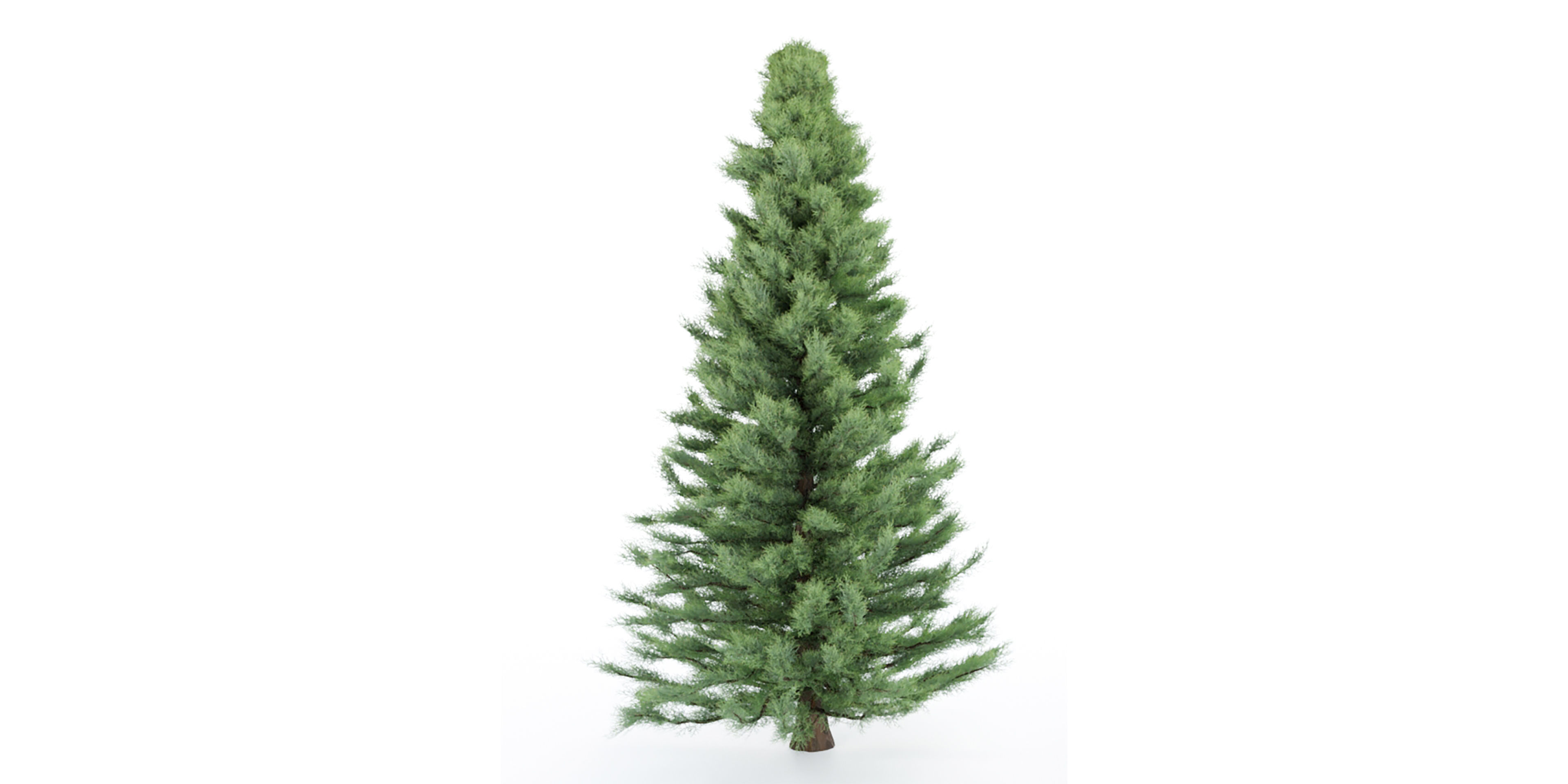 pine trees collection vol 22-Blender 3D model_6