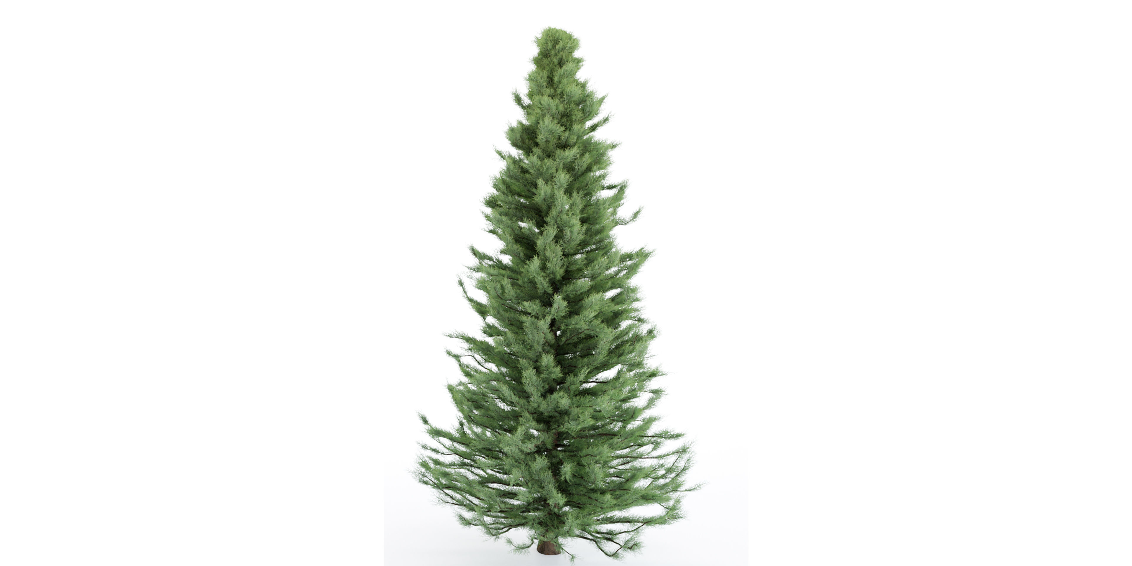 pine trees collection vol 22-Blender 3D model_4