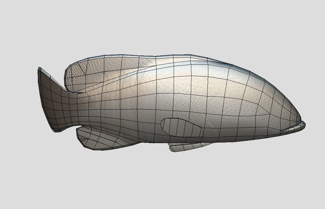 Coral Grouper Realistic Animated Low-poly 3D model_10