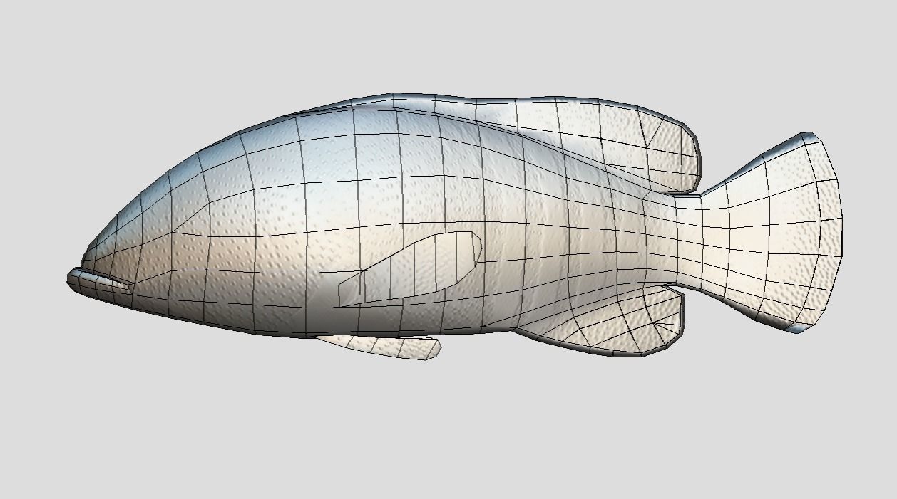 Coral Grouper Realistic Animated Low-poly 3D model_5