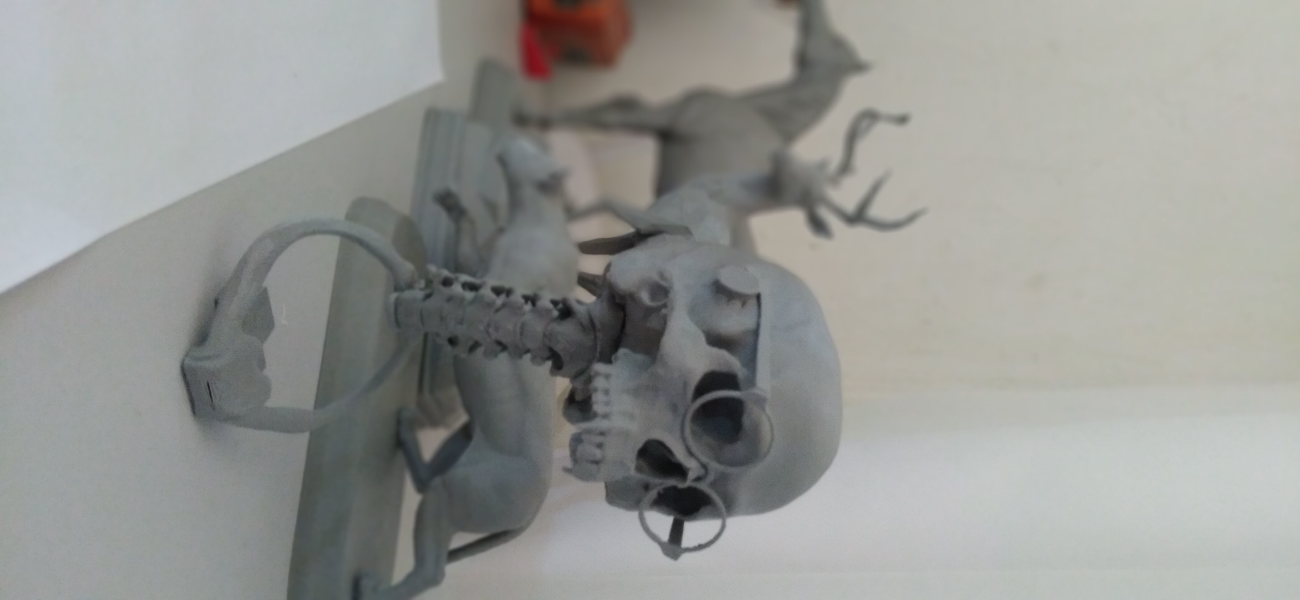 Vampire Skull 3D print model_18
