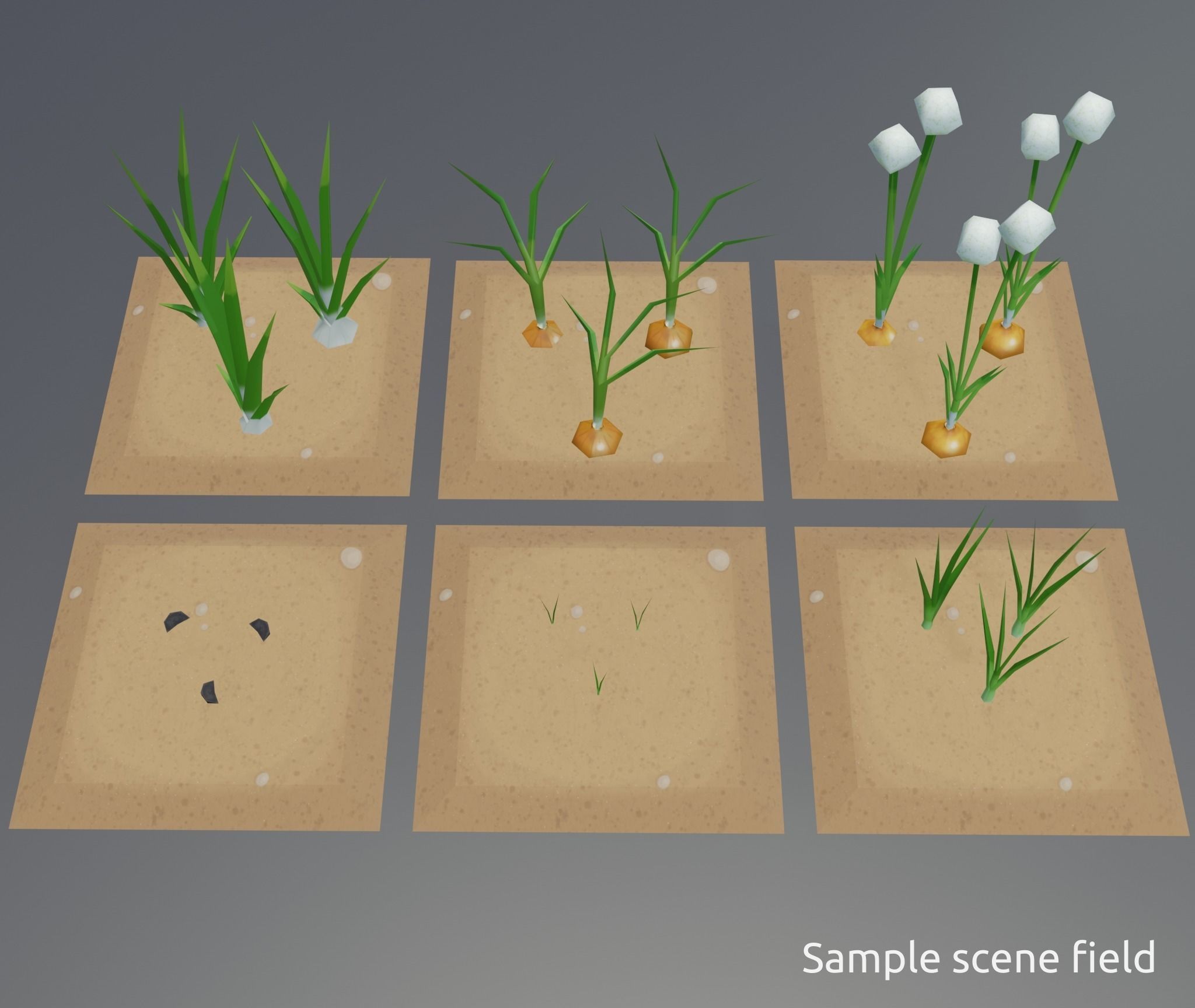 Onion growing and cooking set Low-poly 3D model_4