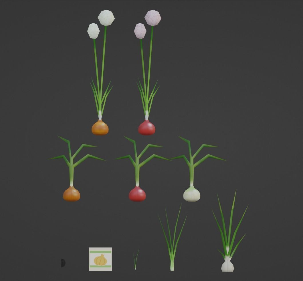 Onion growing and cooking set Low-poly 3D model_11