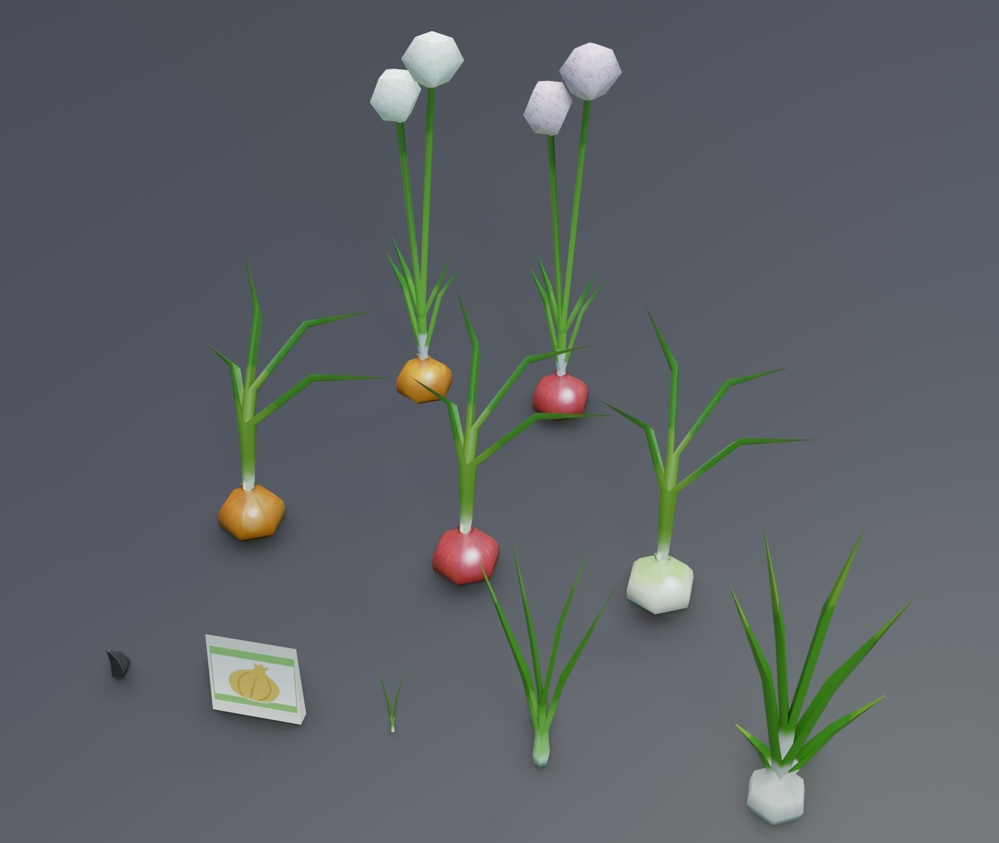 Onion growing and cooking set Low-poly 3D model_5