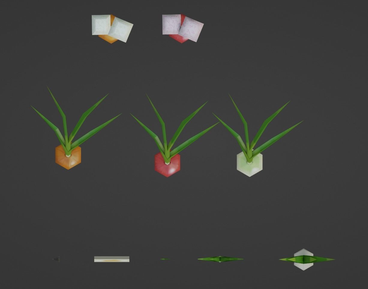Onion growing and cooking set Low-poly 3D model_8