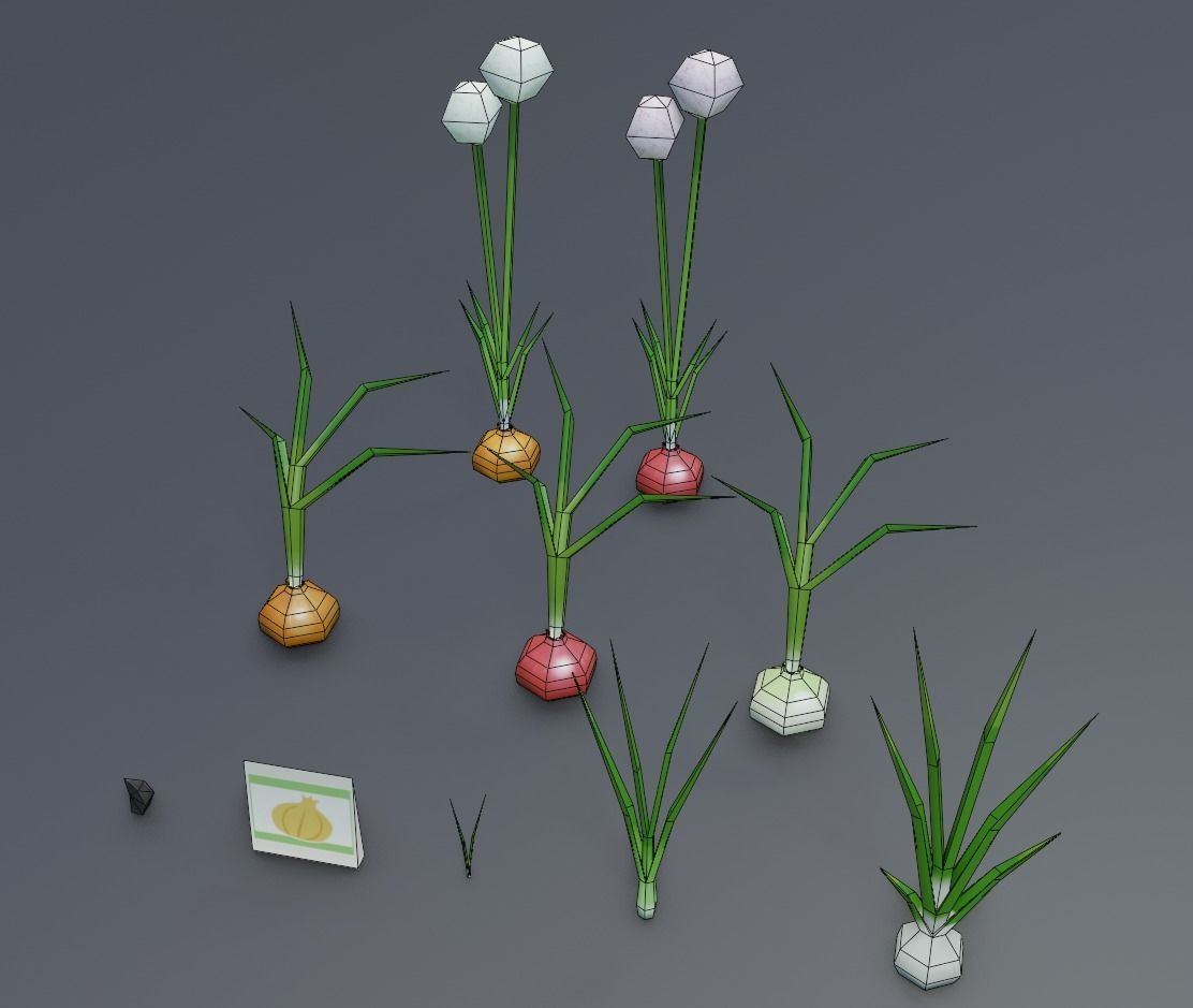 Onion growing and cooking set Low-poly 3D model_6