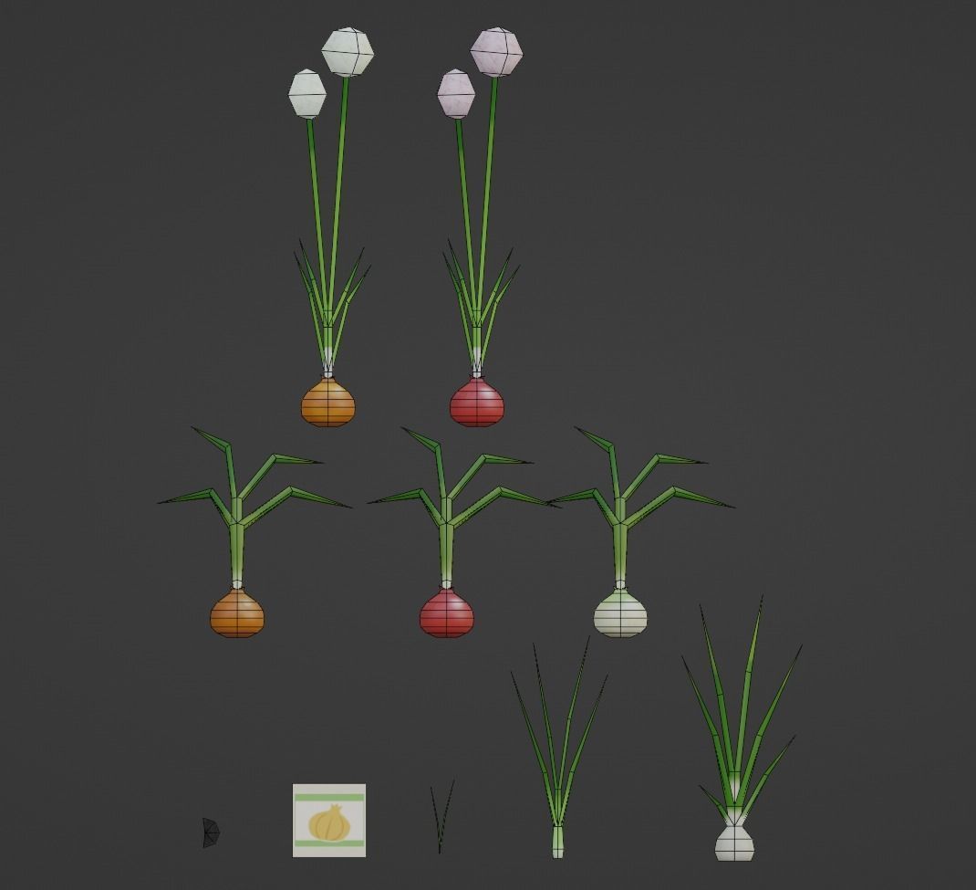 Onion growing and cooking set Low-poly 3D model_12