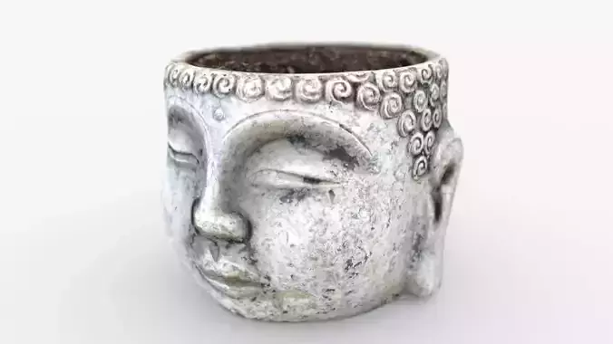 Buddha flower pot